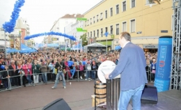 FPÖ 7.jpg