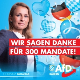 AfD Bavière 1.jpg