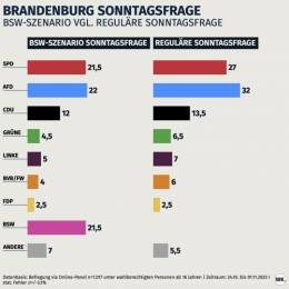 AfD B 1.jpeg