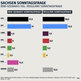 AfD 1.jpeg