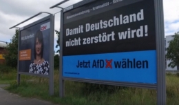 AfD 1.jpg