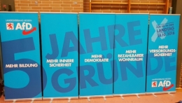 AfD 1.jpg