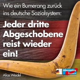 AfD 1.jpg