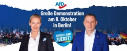 AfD 1.jpg