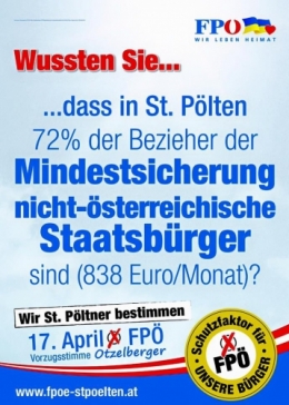 FPÖ 1.jpg