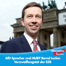 AfD 1.png