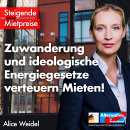 AfD 1.png