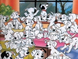 chiens.jpg