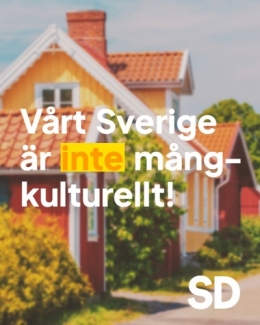 SD 1.jpg