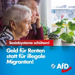 AfD 3.jpg