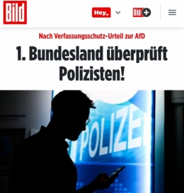 AfD 1.jpeg