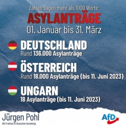 AfD 1.jpeg