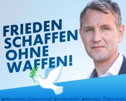 AfD 1.jpeg