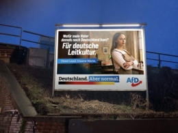 AfD 2.jpg