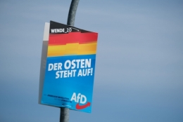 AfD Est.jpg