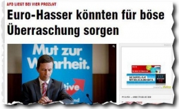 Bild AfD.jpg