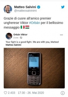 Salvini 1.jpg