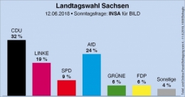 AfD 1.jpg