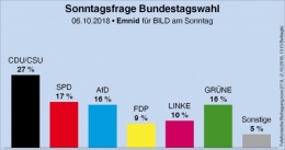 AfD 1.jpg