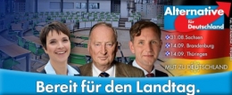 AfD 1.jpg