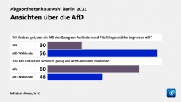 AfD 5.jpg