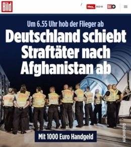 AfD 2.jpeg