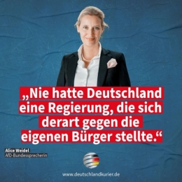 AfD 2.jpeg