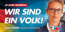 AfD 1.png