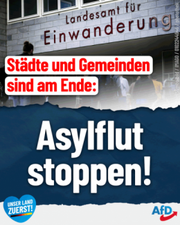 AfD 1.png