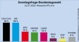 AfD 1.png