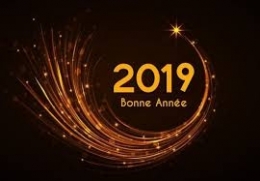 Bonne année 2019.jpg