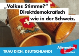 AfD 8.jpeg