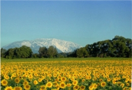 Basse-Autriche.jpg
