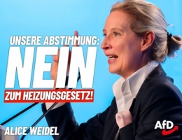 AfD 1.jpeg