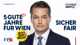 FPÖ V 2.png