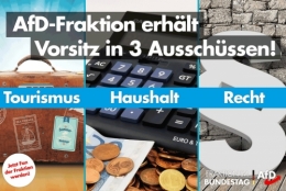 AfD 1.jpg