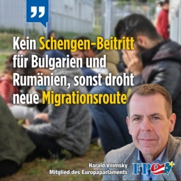 FPÖ 1.jpg