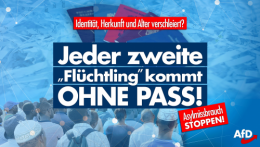 AfD 1.png