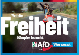 AfD 1.png