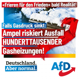 AfD 1.png