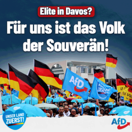 AfD 1.png