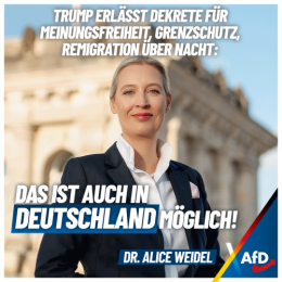 AfD 1.png