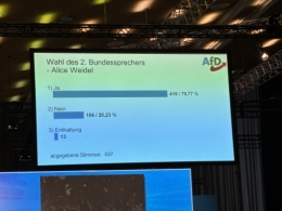 AfD 5.jpeg