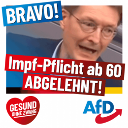 AfD 2.png