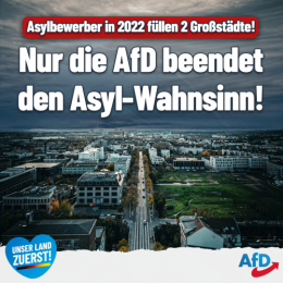 AfD 2.png