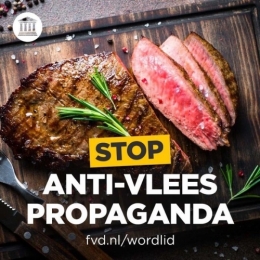 FVD 3.jpg