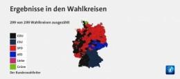 AfD 3.jpg
