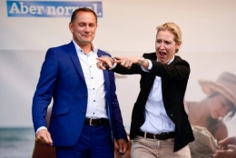 AfD 3.jpg