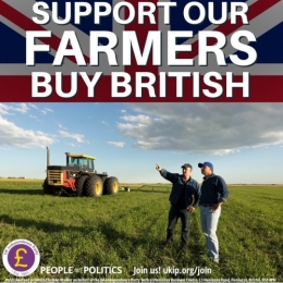 UKIP 1.jpeg