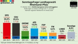 AfD 1.jpeg